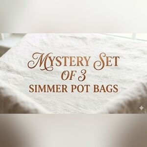 Mystery Set of 3 Simmer Pot Bags
